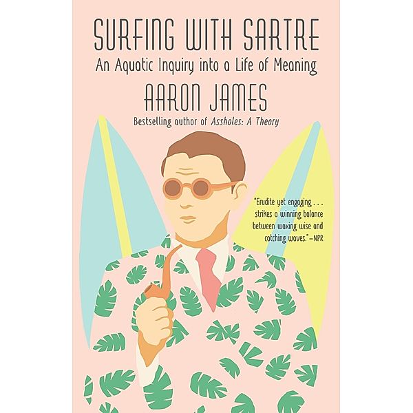 Surfing with Sartre, Aaron James