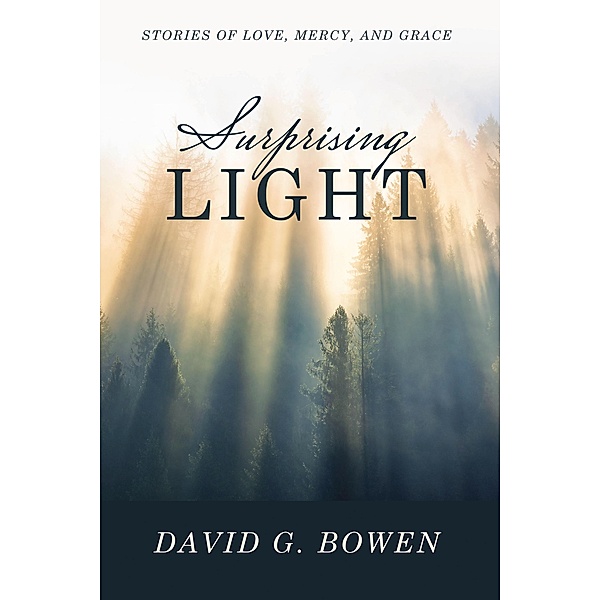 Surprising Light, David G. Bowen