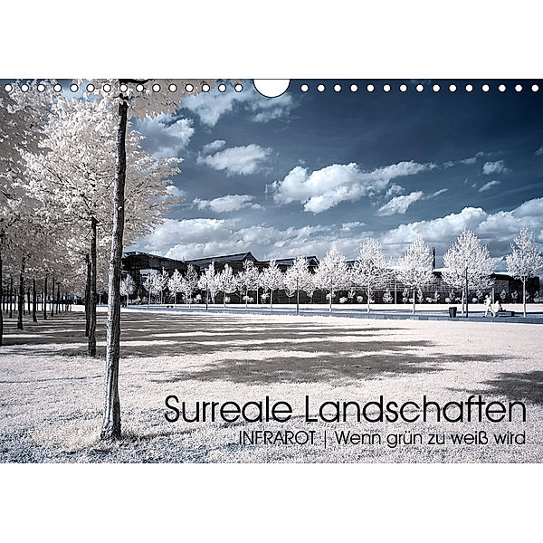 Surreale Landschaften. INFRARROT - Wenn grün zu weiß wird (Wandkalender 2019 DIN A4 quer), Oliver Buchmann