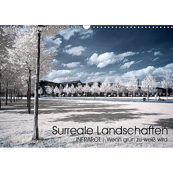Surreale Landschaften. INFRARROT - Wenn grün zu weiß wird (Wandkalender 2019 DIN A3 quer), Oliver Buchmann