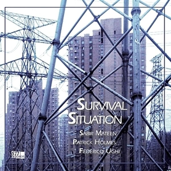 Survival Situation (Vinyl), Sabir Mateen, Patrick Holmes, Frederico Ughi