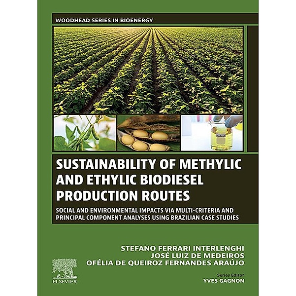Sustainability of Methylic and Ethylic Biodiesel Production Routes, Stefano Ferrari Interlenghi, José Luiz de Medeiros, Ofélia de Queiroz Fernandes Araújo
