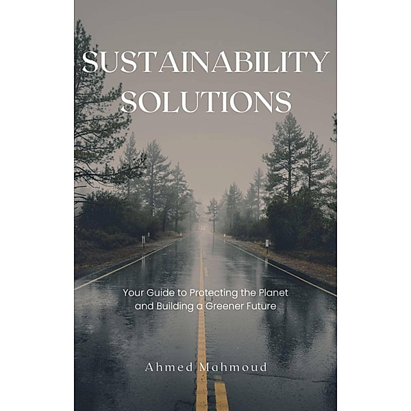 Sustainability Solutions, Ahmed Mahmoud