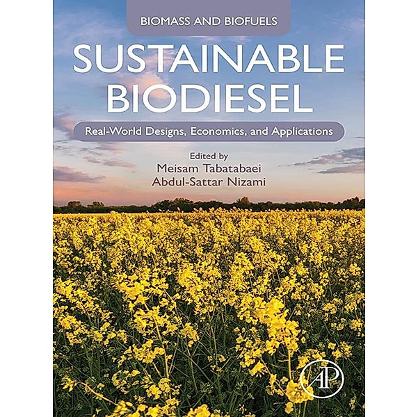 Sustainable Biodiesel