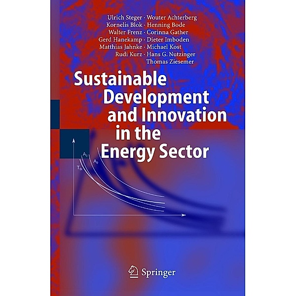 Sustainable Development and Innovation in the Energy Sector, Ulrich Steger, Wouter Achterberg, Kornelis Blok