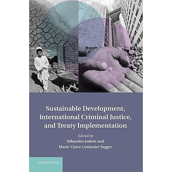 Sustainable Development, International Criminal Justice, and Treaty Implementation / Treaty Implementation for Sustainable Development