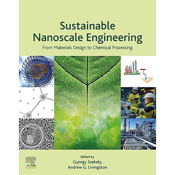 Sustainable Nanoscale Engineering