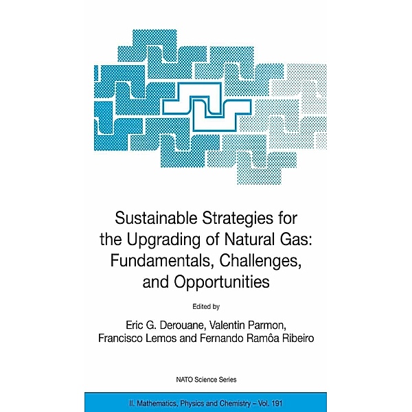 Sustainable Strategies for the Upgrading of Natural Gas: Fundamentals, Challenges, and Opportunities / NATO Science Series II: Mathematics, Physics and Chemistry Bd.191