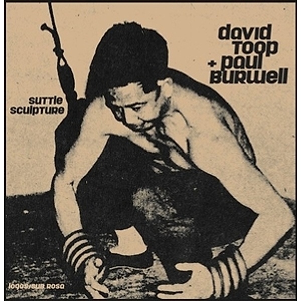 Suttle Sculpture (Lp) (Vinyl), David Toop+Paul Burwell