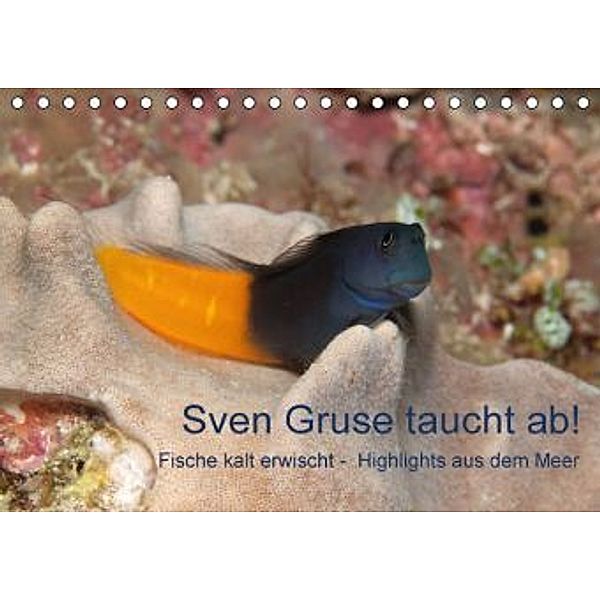 Sven Gruse taucht ab! Fische kalt erwischt (Tischkalender 2015 DIN A5 quer), Sven Gruse