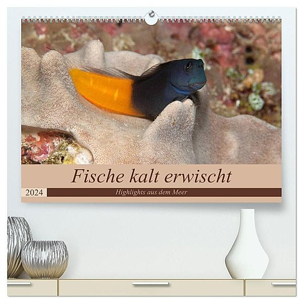 Sven Gruse taucht ab! Fische kalt erwischt (hochwertiger Premium Wandkalender 2024 DIN A2 quer), Kunstdruck in Hochglanz, Sven Gruse