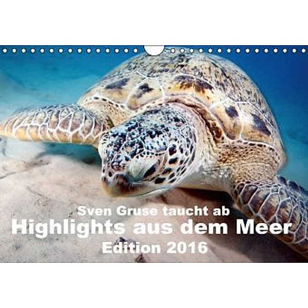 Sven Gruse taucht ab - Highlights aus dem Meer Edition 2016 (Wandkalender 2016 DIN A4 quer), Sven Gruse