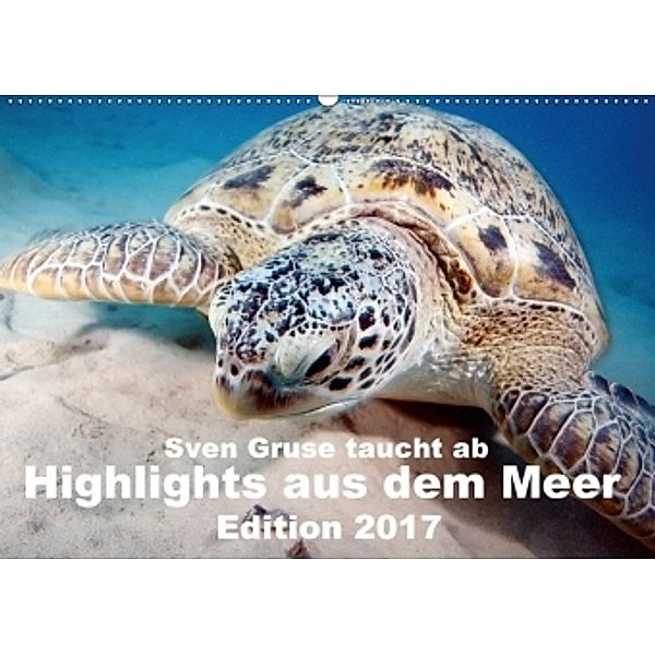 Sven Gruse taucht ab - Highlights aus dem Meer Edition 2017 (Wandkalender 2017 DIN A2 quer), Sven Gruse