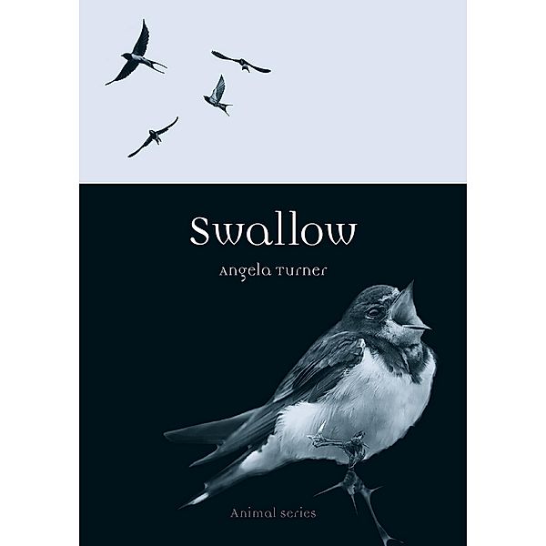 Swallow / Animal, Turner Angela Turner