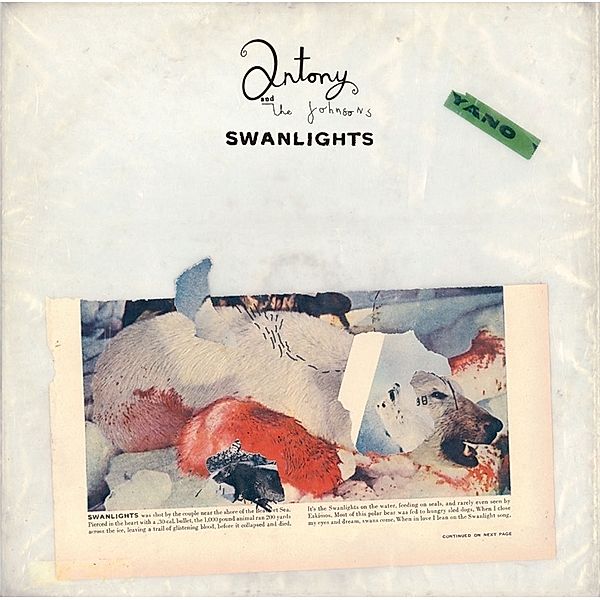 Swanlights, Antony And The Johnsons