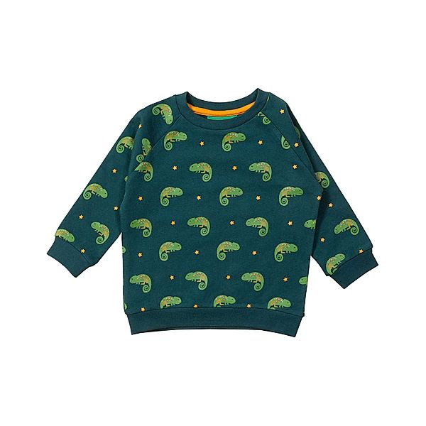 Little Green Radicals Sweatshirt LITTLE LIZARD in grün