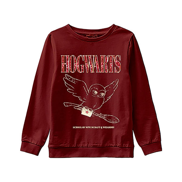 name it Sweatshirt NKFHARRYPOTTER in spiced apple