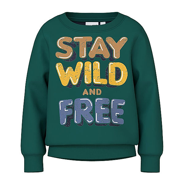 name it Sweatshirt NMMVILDAR WILD&FREE in forest biome