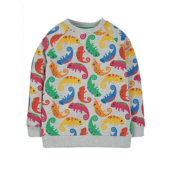 frugi Sweatshirt REX – CHAMELEON in grau/bunt