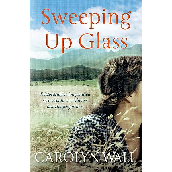 Sweeping Up Glass, Carolyn Wall