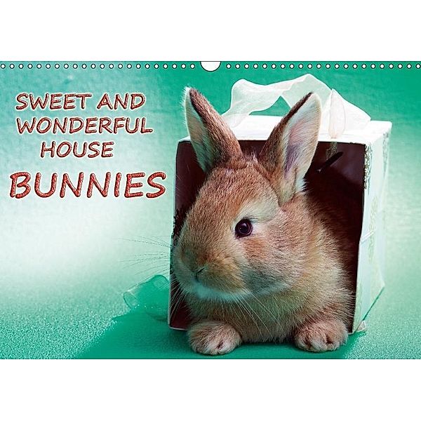 Sweet and wonderful house bunnies / UK-Version (Wall Calendar 2017 DIN A3 Landscape), k.A. eugenfoto.eu