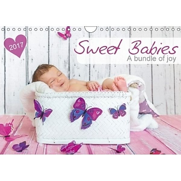 Sweet Babies - A bundle of joy (Wall Calendar 2017 DIN A4 Landscape), Hetizia Fotodesign