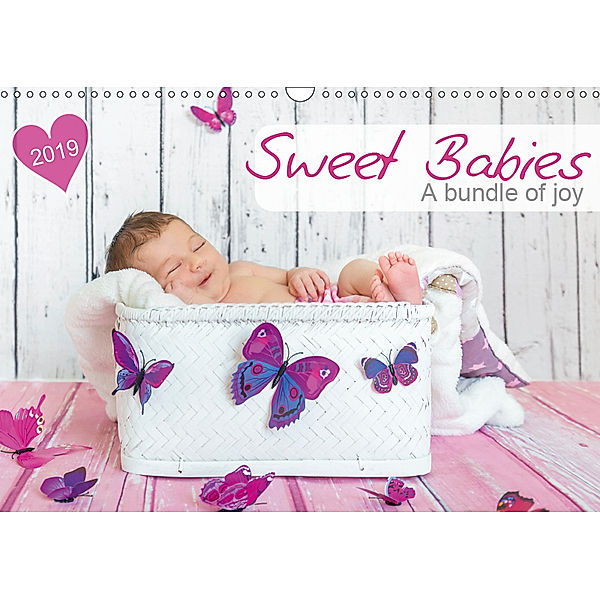 Sweet Babies - A bundle of joy (Wall Calendar 2019 DIN A3 Landscape), Hetizia Fotodesign