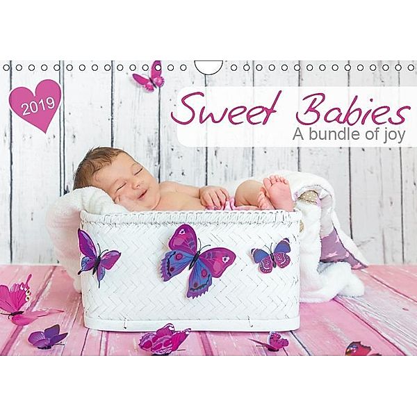 Sweet Babies - A bundle of joy (Wall Calendar 2019 DIN A4 Landscape), Hetizia Fotodesign