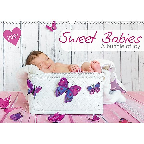 Sweet Babies - A bundle of joy (Wall Calendar 2021 DIN A3 Landscape)