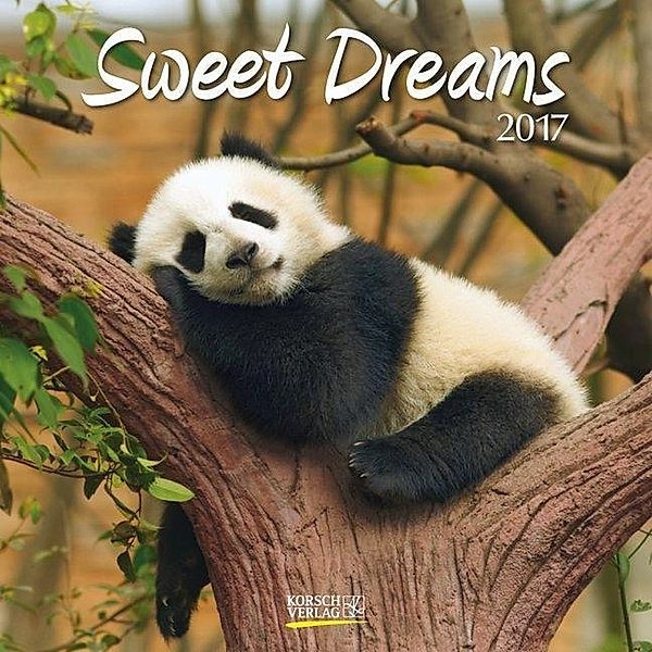 Sweet Dreams 2017