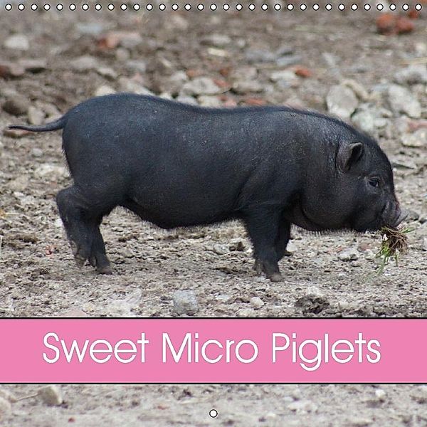 Sweet Micro Piglets (Wall Calendar 2018 300 × 300 mm Square), kattobello