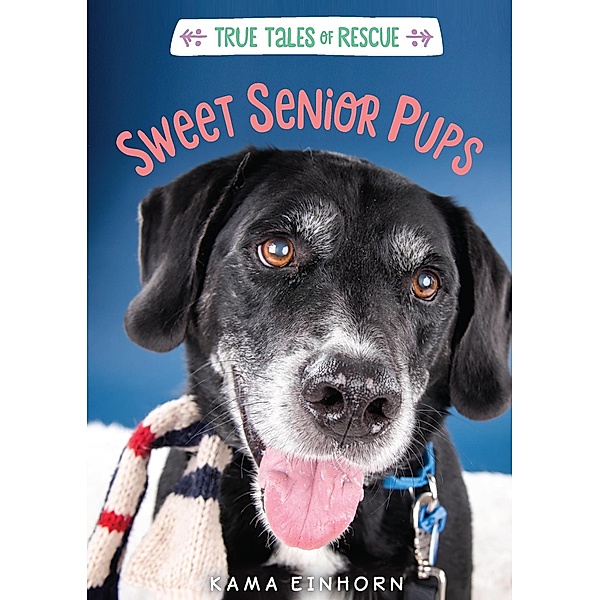 Sweet Senior Pups / Clarion Books, Kama Einhorn