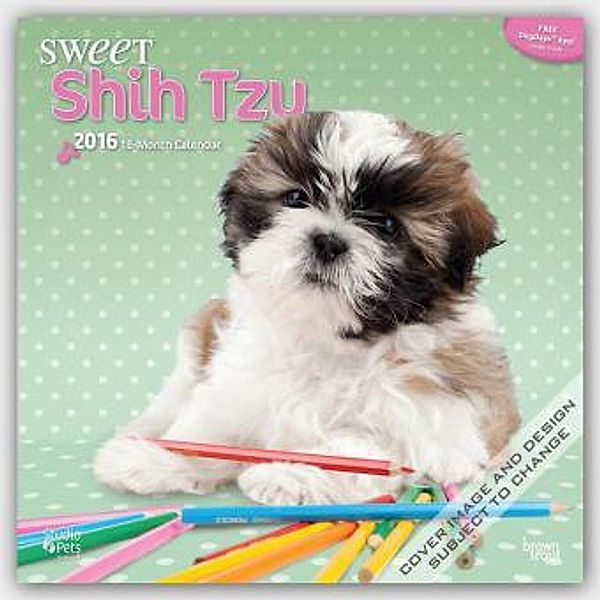 Sweet Shitzu 2016