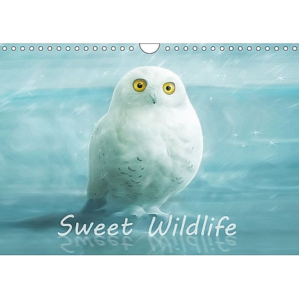 Sweet Wildlife / UK-Version / Birthday Calendar (Wall Calendar 2018 DIN A4 Landscape), Silvio Schoisswohl