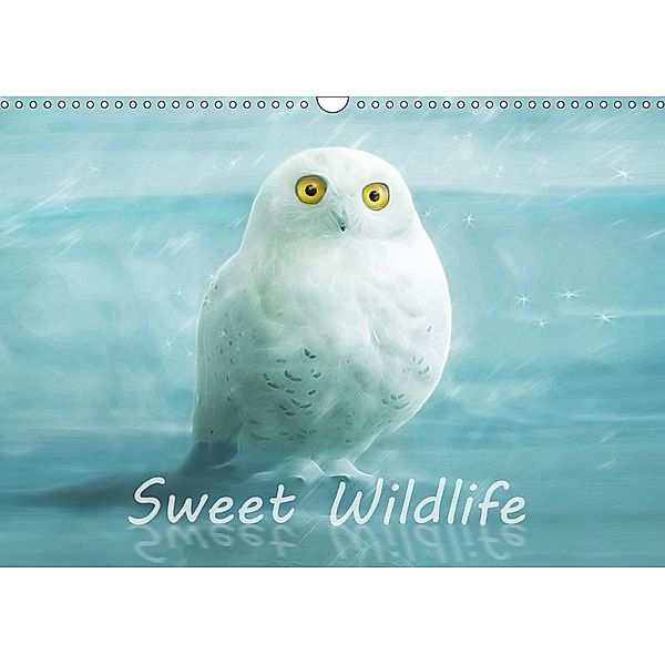 Sweet Wildlife / UK-Version / Birthday Calendar (Wall Calendar 2018 DIN A3 Landscape), Silvio Schoisswohl