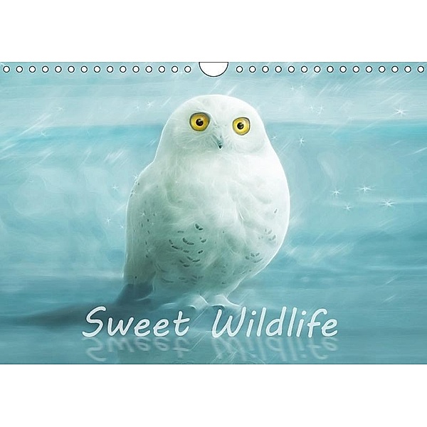 Sweet Wildlife / UK-Version / Birthday Calendar (Wall Calendar 2017 DIN A4 Landscape), Silvio Schoisswohl