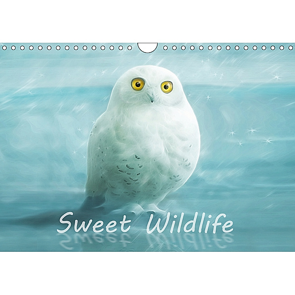 Sweet Wildlife / UK-Version / Birthday Calendar (Wall Calendar 2019 DIN A4 Landscape), Silvio Schoisswohl