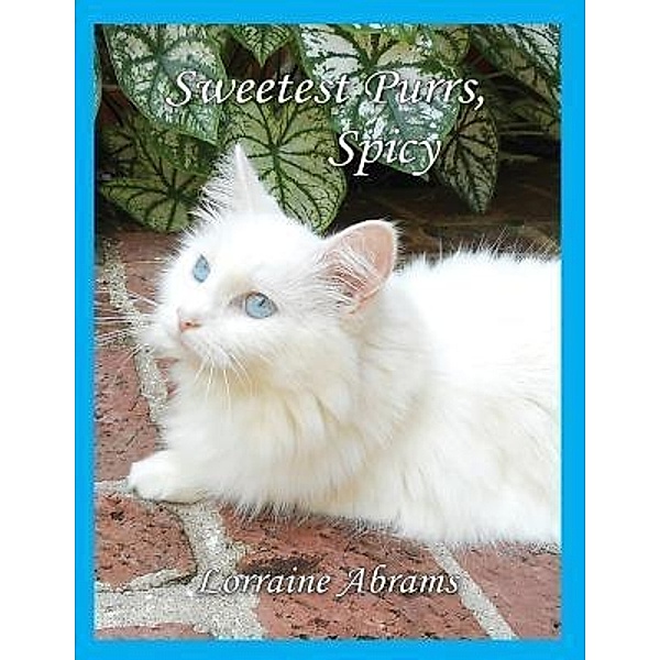 Sweetest Purrs, Spicy / The Adventures of Spicy Bd.4, Lorraine Abrams