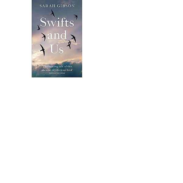 Swifts and Us, Sarah Gibson