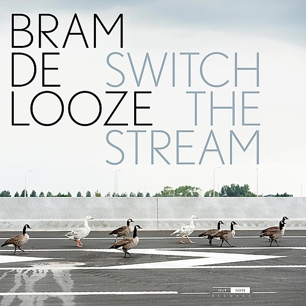 Switch The Stream (Vinyl), Bram De Looze, Chris Maene