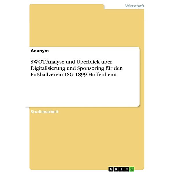 SWOT-Analyse und Überblick über Digitalisierung und Sponsoring für den Fussballverein TSG 1899 Hoffenheim