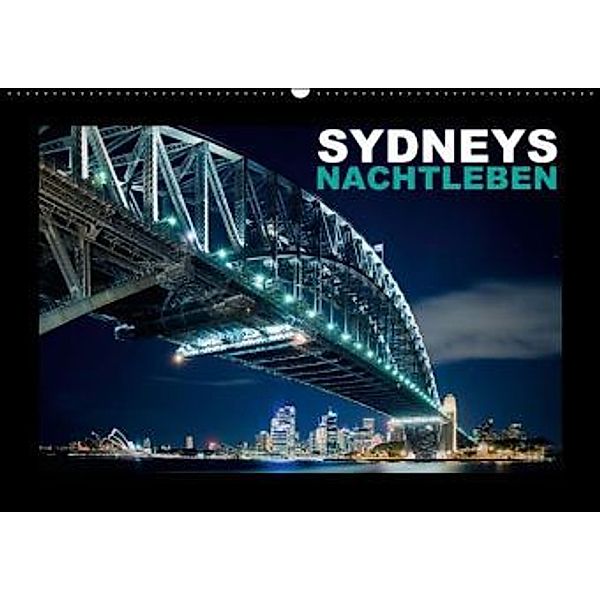 Sydneys Nachtleben (Wandkalender 2015 DIN A2 quer), CALVENDO