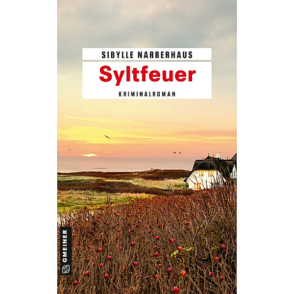 Syltfeuer / Anna Bergmann Bd.3, Sibylle Narberhaus