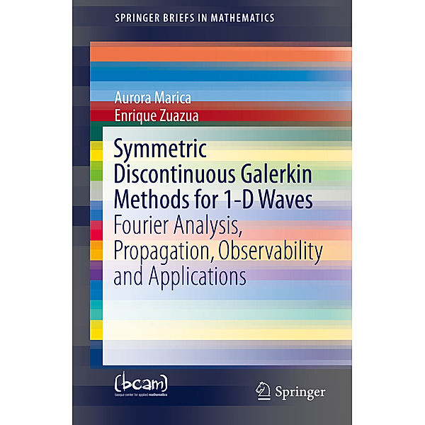 Symmetric Discontinuous Galerkin Methods for 1-D Waves, Aurora Marica, Enrique Zuazua