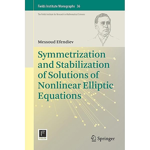 Symmetrization and Stabilization of Solutions of Nonlinear Elliptic Equations / Fields Institute Monographs Bd.36, Messoud Efendiev