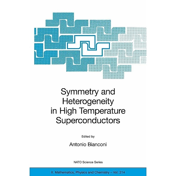 Symmetry and Heterogeneity in High Temperature Superconductors / NATO Science Series II: Mathematics, Physics and Chemistry Bd.214