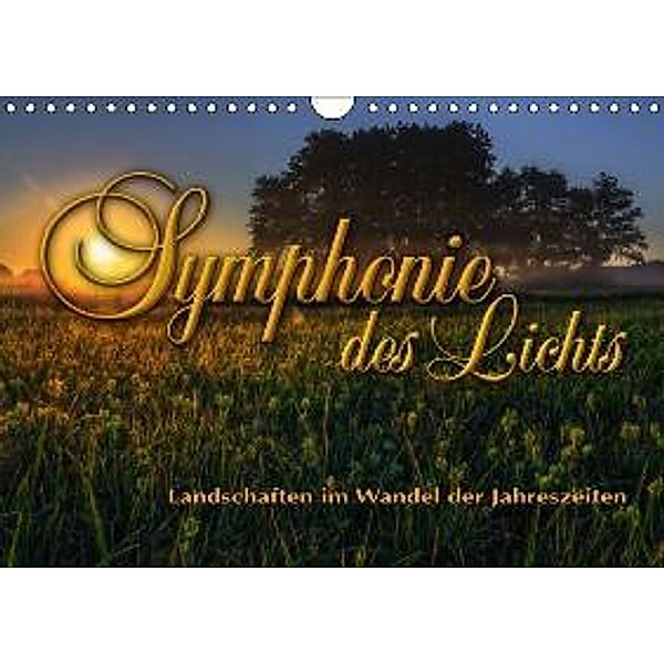 Symphonie des Lichts - Landschaften im Wandel der Jahreszeiten (Wandkalender 2016 DIN A4 quer), Stefanie Pappon