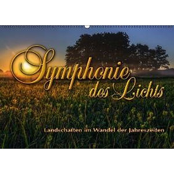 Symphonie des Lichts - Landschaften im Wandel der Jahreszeiten (Wandkalender 2016 DIN A2 quer), Stefanie Pappon