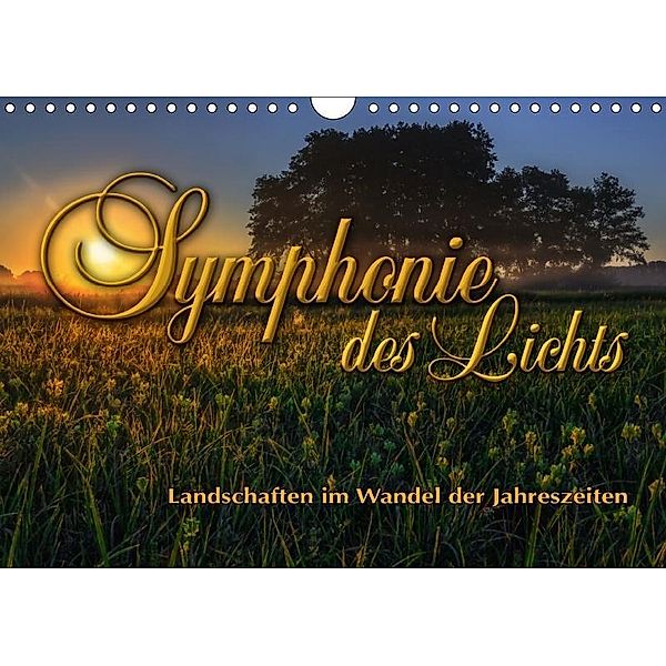 Symphonie des Lichts - Landschaften im Wandel der Jahreszeiten (Wandkalender 2017 DIN A4 quer), Stefanie Pappon