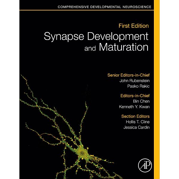 Synapse Development and Maturation